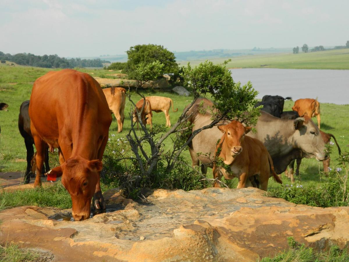 Green Thumb Farm Stay Ermelo Eksteriør bilde